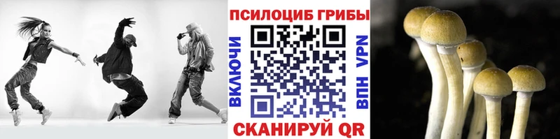 Псилоцибиновые грибы MAGIC MUSHROOMS  Купить закладки  Лаишево 